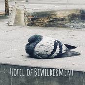 Podcast Hotel of Bewilderment - Bedtime Story Magic Garden