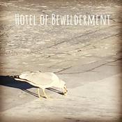 Podcast Hotel of Bewilderment - Meditation Room