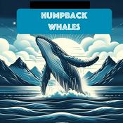 Podcast Humpback Whale