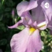 Podcast Ilona Sims ( Gates)