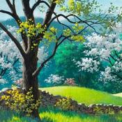 Podcast Imaginary Advice