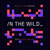 Podcast In the Wild with Michael Bargury