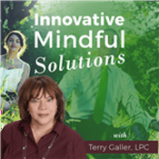 Podcast Innovative Mindful Solutions with Terry Galler