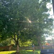 Podcast Introduction🖊