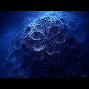 Podcast Islam - Free Will - and the Quantum