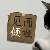 见面倾啦