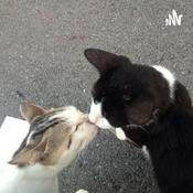 Podcast kpop w/ marcus :D