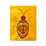 Podcast KrispelKefer