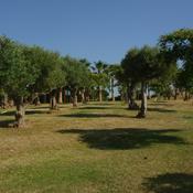 Podcast La Bible expliquée par l'I.A.