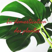 Podcast La domestication des plantes