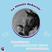 Podcast La Minute Rehactiv'