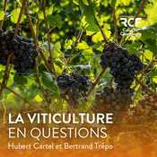 Podcast La viticulture en questions · RCF Cœur de Champagne