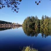 Podcast L'art-thérapie