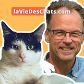 Podcast laVieDesChats