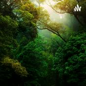 Podcast Le cerveau : Plasticité, fragilité et rôle dans la motricité