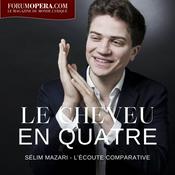 Podcast Le cheveu en quatre par Sélim Mazari