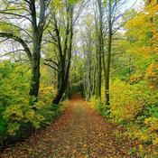 Podcast Le Coran Pour Tous en 120 Chapitres