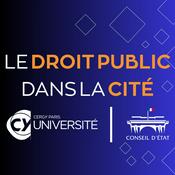 Podcast Le droit public dans la cité