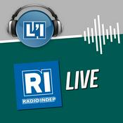 Podcast LE LIVE DE RADIO INDEP