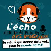 Podcast L'écho des museaux