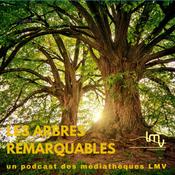Podcast Les Arbres remarquables