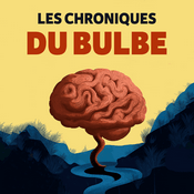 Les chroniques du bulbe