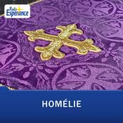Podcast Les homélies des dimanches et jours de fête