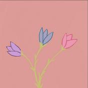 Podcast Les mots d'une grande soeur, réflexion douce et pratique