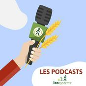 Podcast Les  Podcasts d'Icosystème