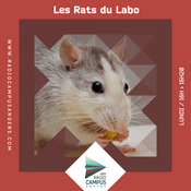 Podcast Les Rats du Labo