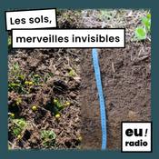 Podcast Les sols, merveilles invisibles