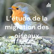 Podcast L'étude de la migration des oiseaux
