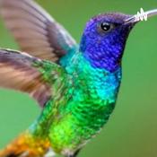 Podcast Leyendas de día de muertos