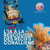 Podcast L'IA à la rescousse des récifs coralliens
