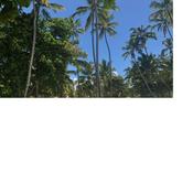 Podcast Life w/ Kelly