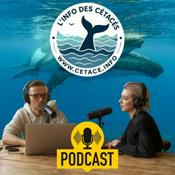 Podcast L'info des cétacés