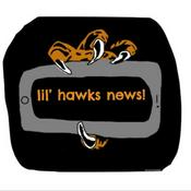 Podcast Little Hawks News