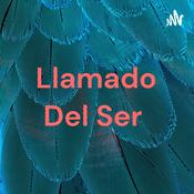 Podcast Anami Lina