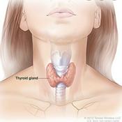 Podcast Loren, Daniel, and Nancy