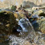 Podcast Loren and Friends