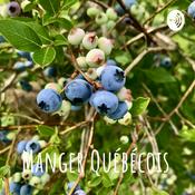 Podcast Manger Québécois