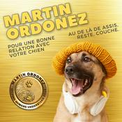 Podcast Martin Coach Canin