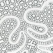 Podcast MiguelCaetano