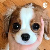 Podcast みみちゃんの治療室