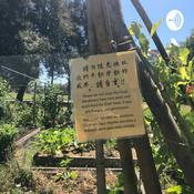 Podcast mixed messages