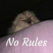 Podcast No Rules