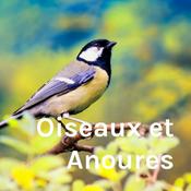 Podcast Oiseaux et Anoures