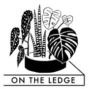 On The Ledge | Grow houseplants with the experts