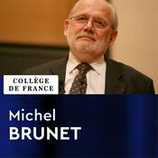 Podcast Paléontologie humaine - Michel Brunet