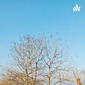 Podcast PANGGUNG HATI